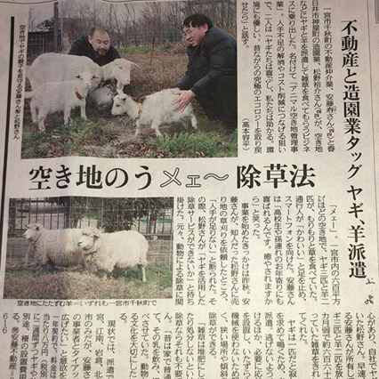 除草ヤギのレンタル・アニマル除草｜にこにこ牧場